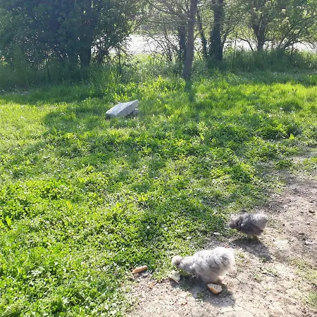 בית נופש Le Hameau De Saintonge *