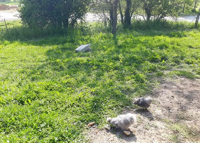 Vakantiehuis Le Hameau De Saintonge *